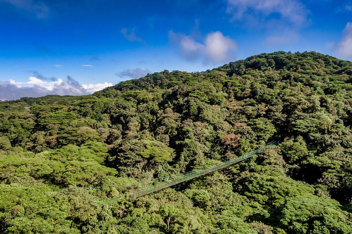 Hanging Bridges & Tour Guide From Monteverde - Photo 1 of 9